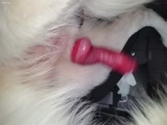 A beast having fun with human hand play